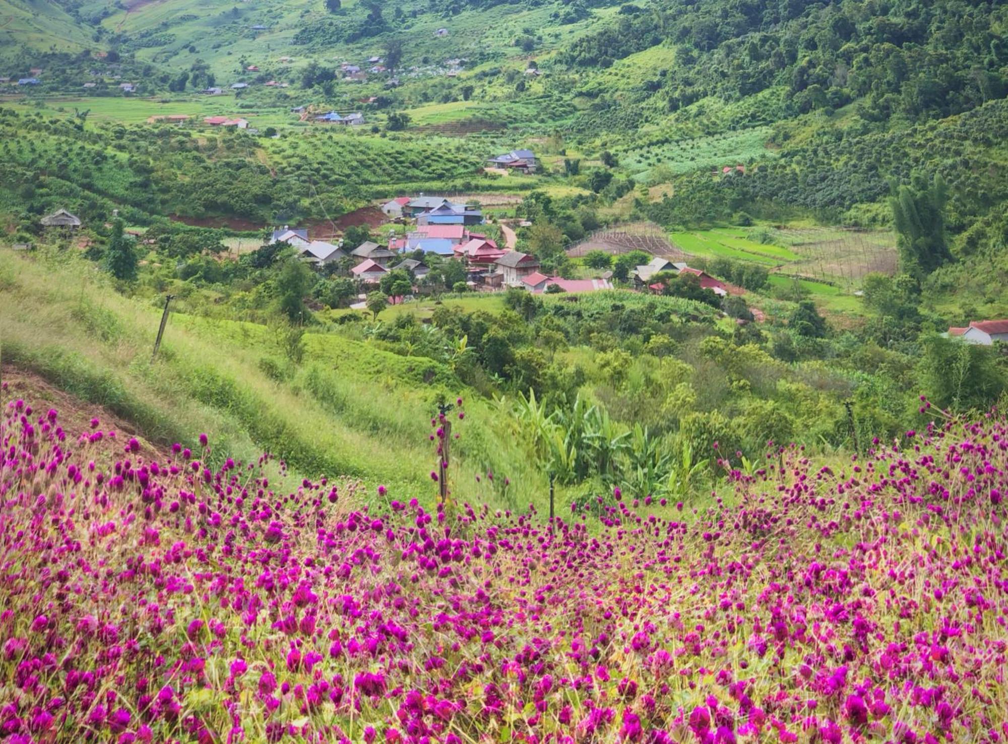 Muong Sang Farmstay Moc Chau Bagian luar foto
